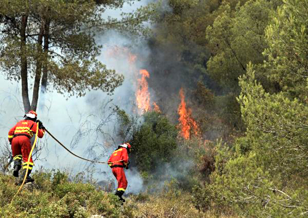 Uno de los focos del incendio forestal en la localidad de Carlet, Valencia (29/6/2012).