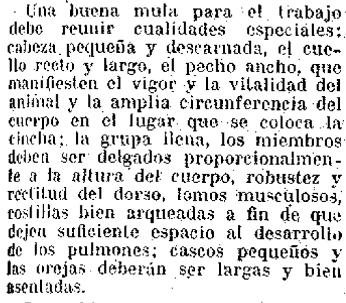 Una buena mula para el trabajo