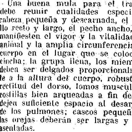 Una buena mula para el trabajo