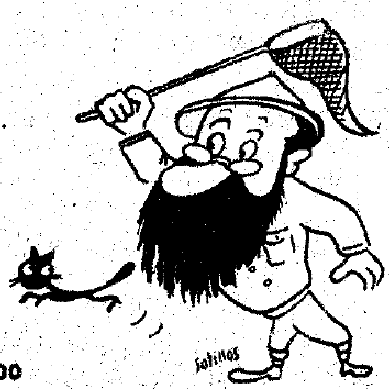 El deseo de la señora