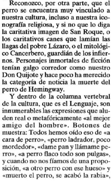 Expresiones con perro