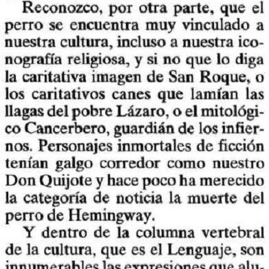 Expresiones con perro