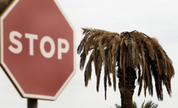 Foto ©Archivo Efe/Juan Carlos Cárdenas FundéuRAE