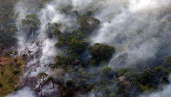 Foto: ©Archivo Efe/Marcelo Sayao