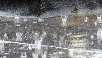 @ W.carter/Wikimedia