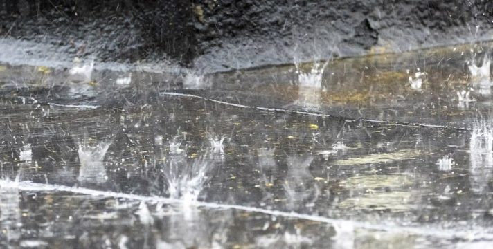 @ W.carter/Wikimedia