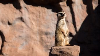 Foto: ©Archivo EFE/Alberto Valdés