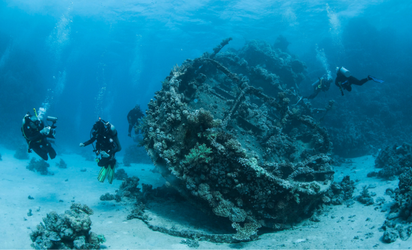 “remains” or “wreck of a ship”, better than “wrecks”