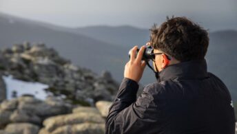 Foto: © Pexels / Alejandro De Roa