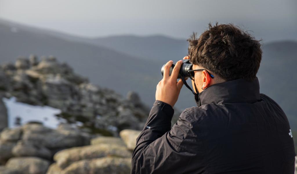 Foto: © Pexels / Alejandro De Roa